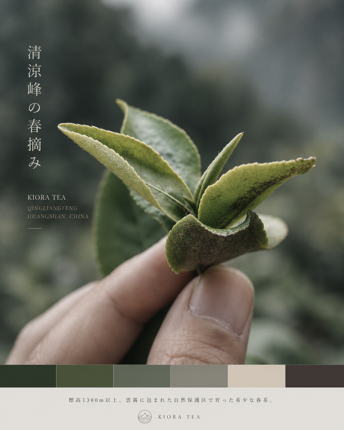 山野茶